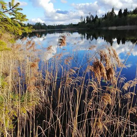 Ainja Puhkemaja ロッジ *