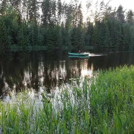 Ainja Puhkemaja Деревянный коттедж
