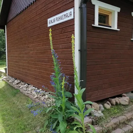 Ainja Puhkemaja Деревянный коттедж