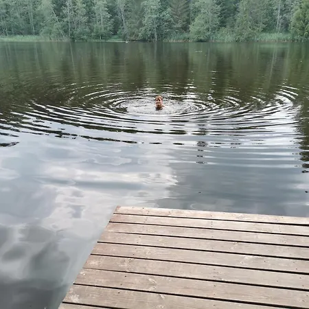 Ainja Puhkemaja
