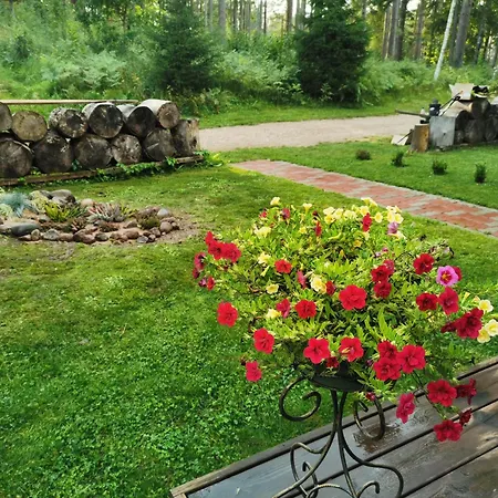 Lodge Ainja Puhkemaja Viljandi (Viljandimaa)