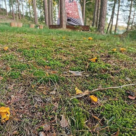 Ainja Puhkemaja * Viljandi (Viljandimaa)
