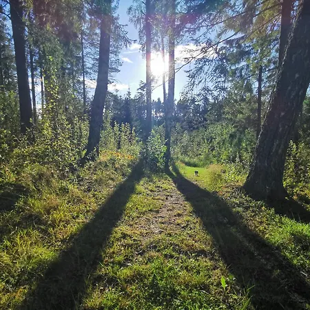 Ainja Puhkemaja Деревянный коттедж