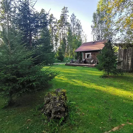 Ainja Puhkemaja ロッジ *