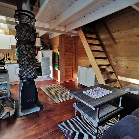 Ainja Puhkemaja Деревянный коттедж Вильянди