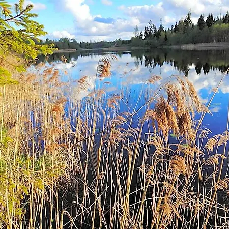 Ainja Puhkemaja Viljandi (Viljandimaa)