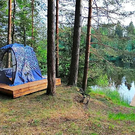 Ainja Puhkemaja Jaktstuga Viljandi (Viljandimaa)