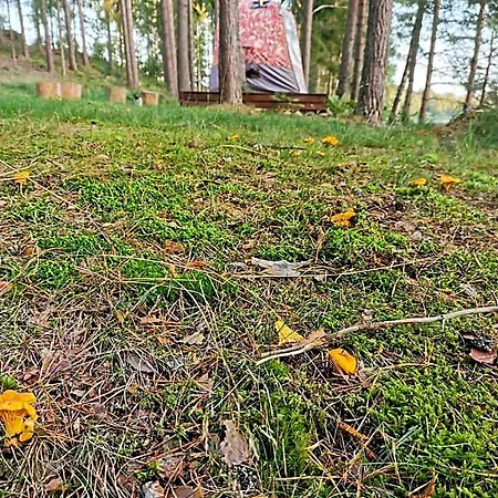 Ainja Puhkemaja *