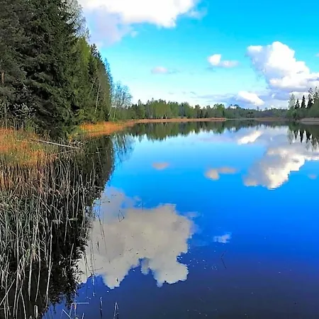 Ainja Puhkemaja Jaktstuga