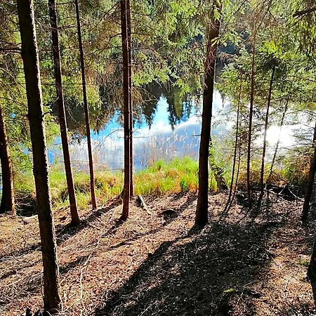 Jaktstuga Ainja Puhkemaja Viljandi (Viljandimaa)