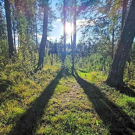Ainja Puhkemaja Jaktstuga