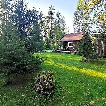 Ainja Puhkemaja Jaktstuga Viljandi (Viljandimaa)
