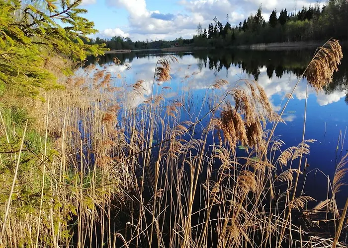 Ainja Puhkemaja Lodge *