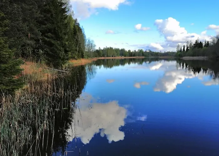 Ainja Puhkemaja Lodge