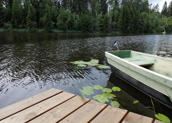 Ainja Puhkemaja Lodge Viljandi (Viljandimaa)