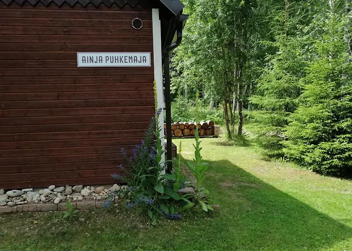 Ainja Puhkemaja Lodge *