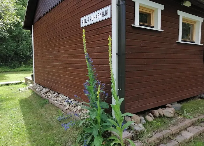 Ainja Puhkemaja Lodge