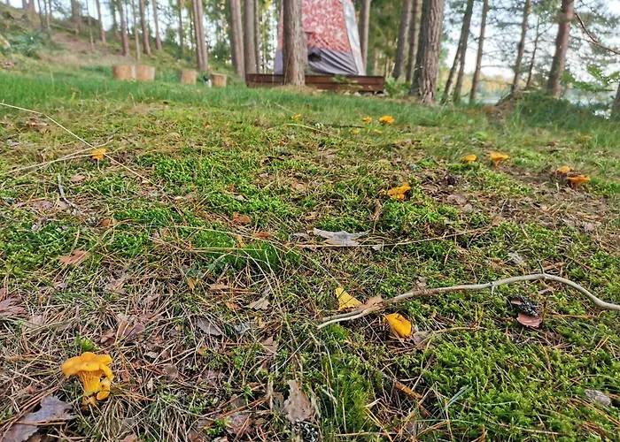 Ainja Puhkemaja * ויליאנדי