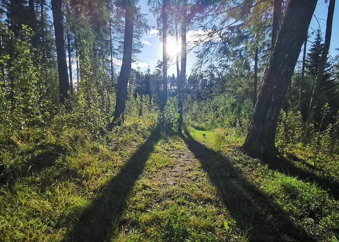 Ainja Puhkemaja Lodge