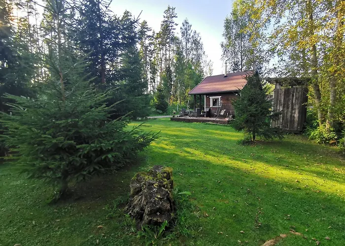 Ainja Puhkemaja Lodge *
